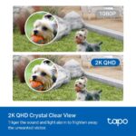 Tapo C420